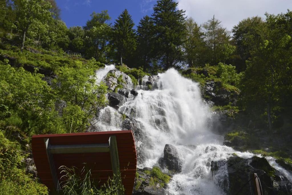 Apartamento Sieben Tannen Titisee + Hochschwarzwald Card Exterior foto