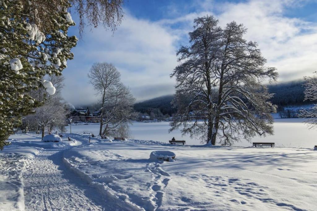 Apartamento Sieben Tannen Titisee + Hochschwarzwald Card Exterior foto